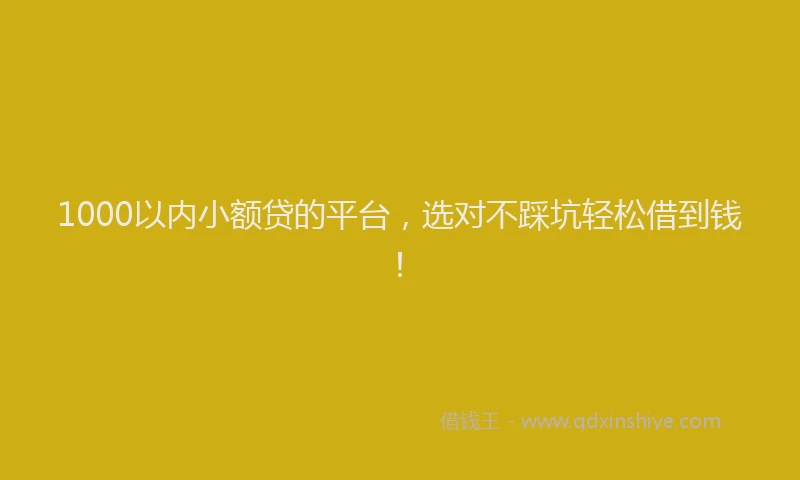 1000以内小额贷的平台，选对不踩坑轻松借到钱！
