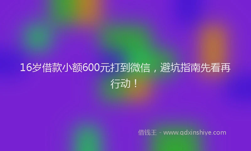16岁借款小额600元打到微信，避坑指南先看再行动！