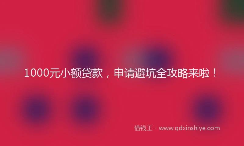 1000元小额贷款，申请避坑全攻略来啦！