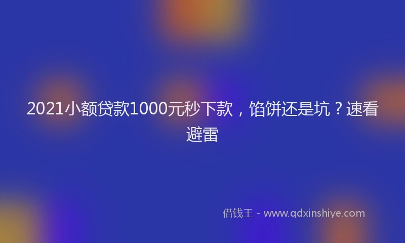 2021小额贷款1000元秒下款，馅饼还是坑？速看避雷