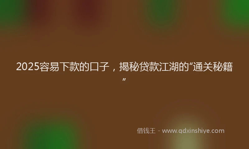 2025容易下款的口子，揭秘贷款江湖的“通关秘籍”