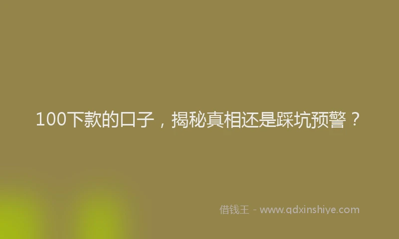 100下款的口子，揭秘真相还是踩坑预警？