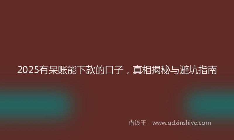 2025有呆账能下款的口子，真相揭秘与避坑指南