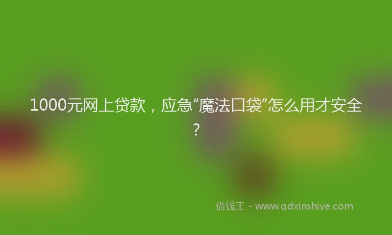 1000元网上贷款，应急“魔法口袋”怎么用才安全？