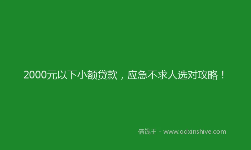 2000元以下小额贷款，应急不求人选对攻略！