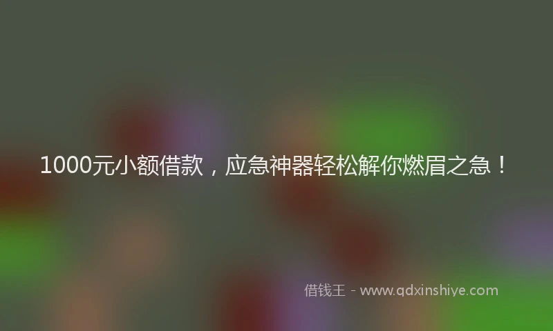 1000元小额借款，应急神器轻松解你燃眉之急！