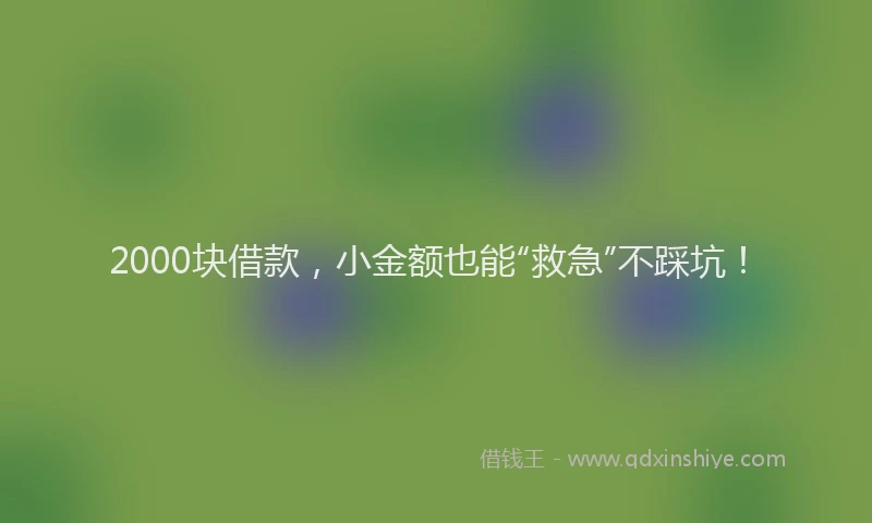 2000块借款，小金额也能“救急”不踩坑！