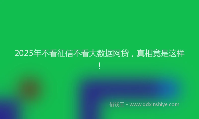 2025年不看征信不看大数据网贷，真相竟是这样！
