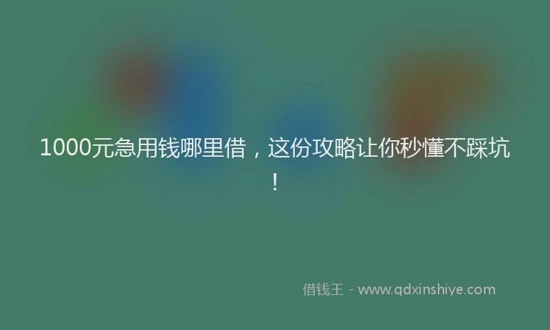 1000元急用钱哪里借，这份攻略让你秒懂不踩坑！