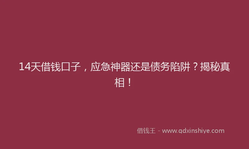 14天借钱口子,应急神器还是债务陷阱?揭秘真相!