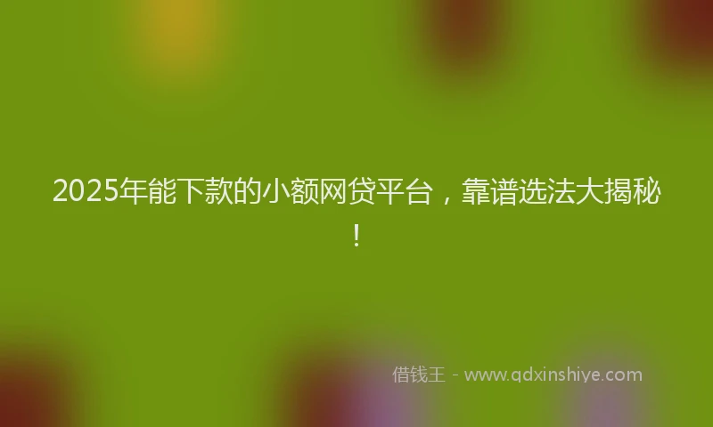 2025年能下款的小额网贷平台,靠谱选法大揭秘!