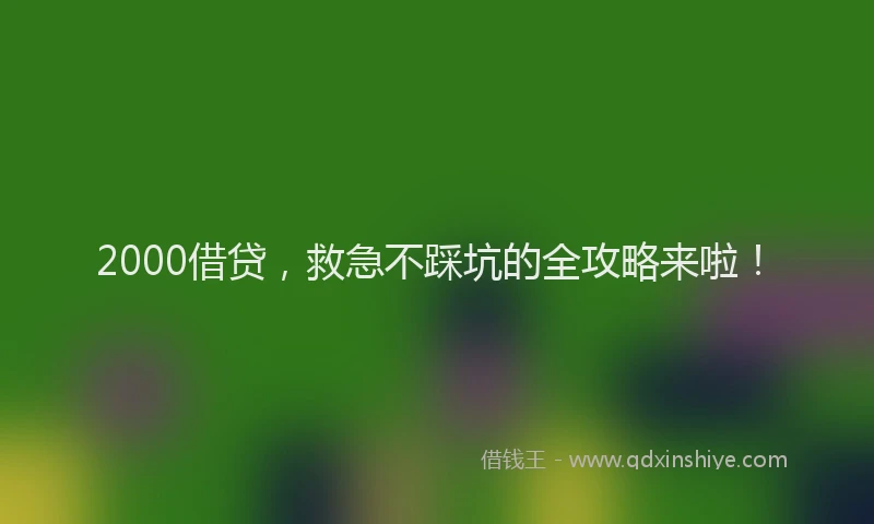 2000借贷，救急不踩坑的全攻略来啦！