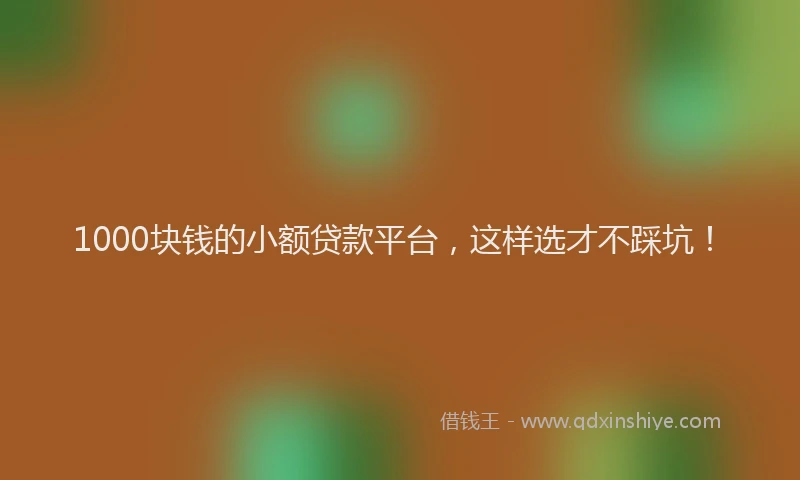 1000块钱的小额贷款平台，这样选才不踩坑！