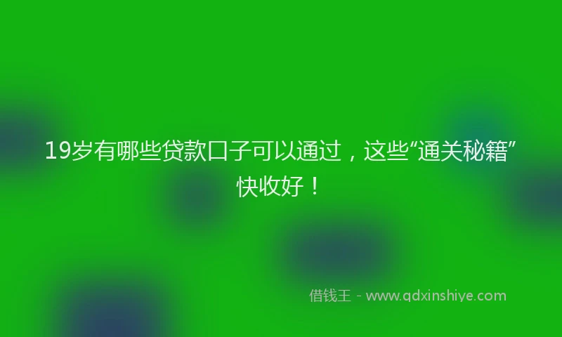 19岁有哪些贷款口子可以通过，这些“通关秘籍”快收好！