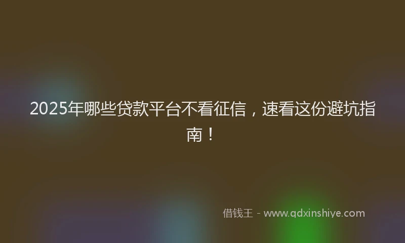 2025年哪些贷款平台不看征信，速看这份避坑指南！
