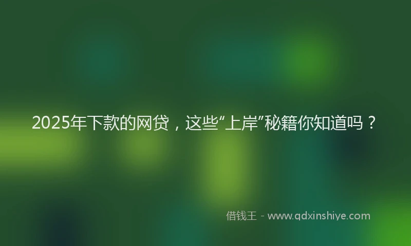 2025年下款的网贷，这些“上岸”秘籍你知道吗？