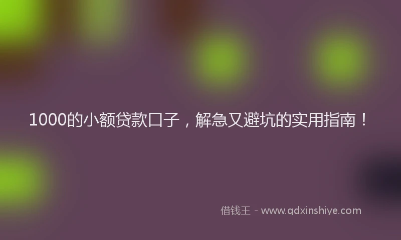 1000的小额贷款口子，解急又避坑的实用指南！