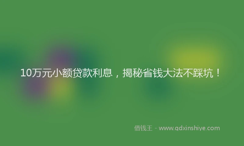 10万元小额贷款利息，揭秘省钱大法不踩坑！