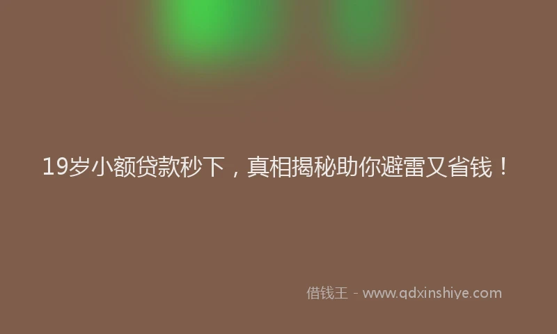 19岁小额贷款秒下，真相揭秘助你避雷又省钱！