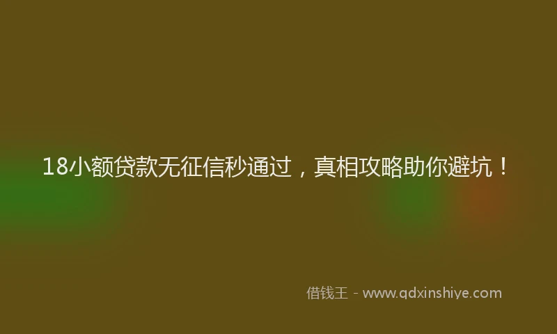 18小额贷款无征信秒通过，真相攻略助你避坑！