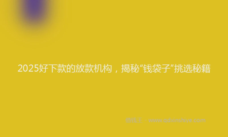 2025好下款的放款机构，揭秘“钱袋子”挑选秘籍