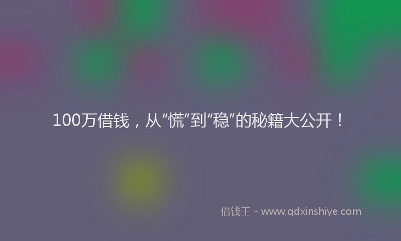 100万借钱，从“慌”到“稳”的秘籍大公开！