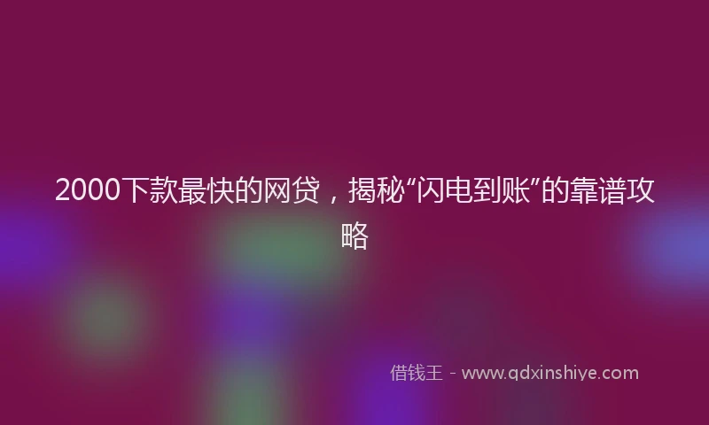 2000下款最快的网贷，揭秘“闪电到账”的靠谱攻略