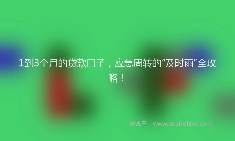 1到3个月的贷款口子，应急周转的“及时雨”全攻略！