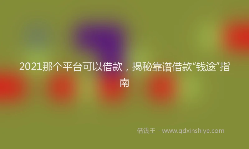 2021那个平台可以借款，揭秘靠谱借款“钱途”指南