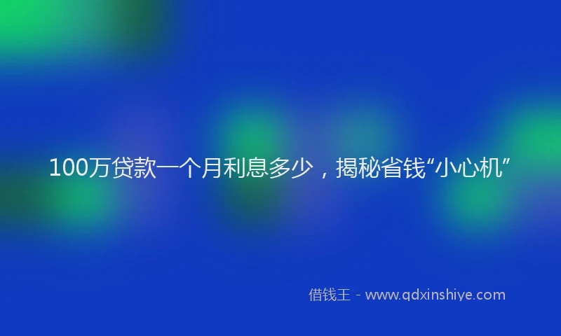 100万贷款一个月利息多少，揭秘省钱“小心机”