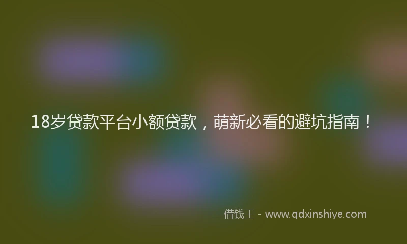 18岁贷款平台小额贷款，萌新必看的避坑指南！