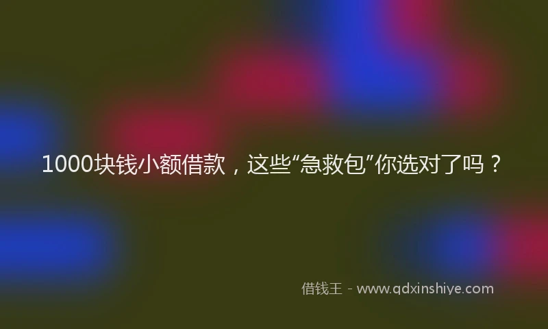 1000块钱小额借款，这些“急救包”你选对了吗？