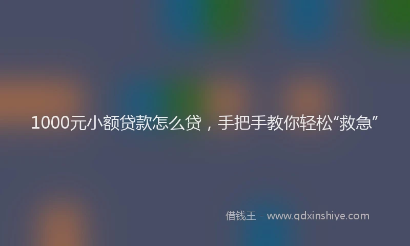 1000元小额贷款怎么贷，手把手教你轻松“救急”