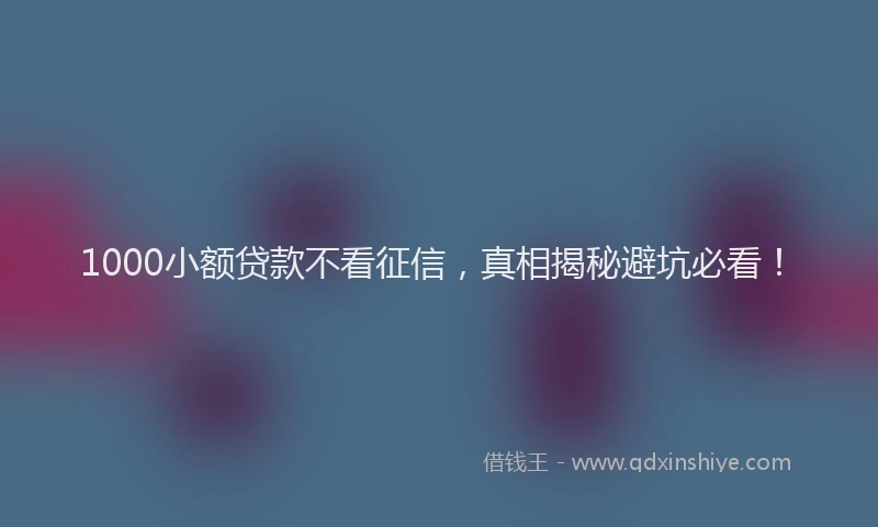 1000小额贷款不看征信，真相揭秘避坑必看！