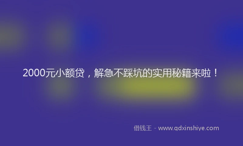 2000元小额贷，解急不踩坑的实用秘籍来啦！