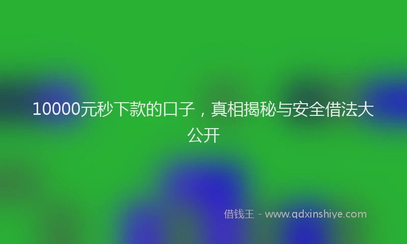 10000元秒下款的口子，真相揭秘与安全借法大公开
