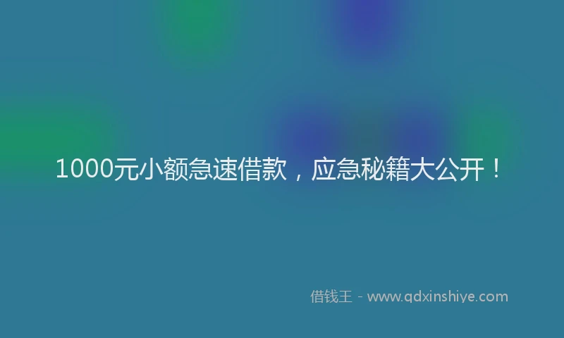 1000元小额急速借款，应急秘籍大公开！