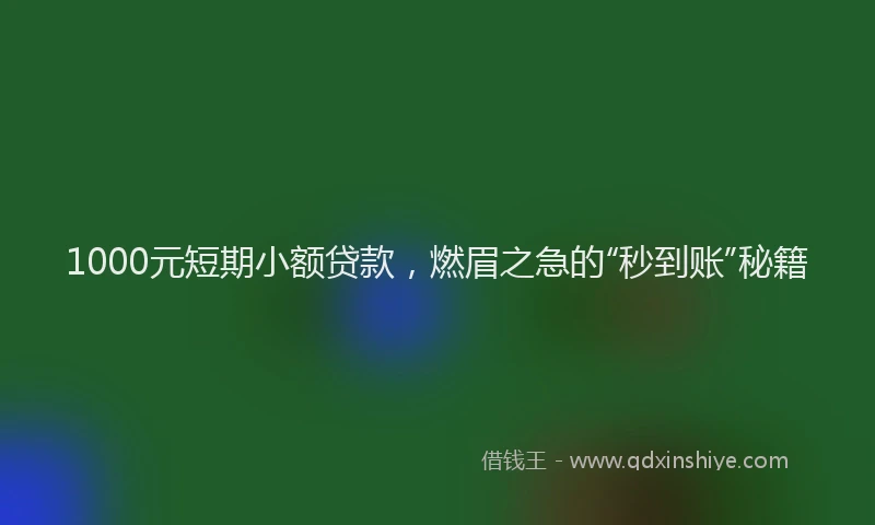 1000元短期小额贷款，燃眉之急的“秒到账”秘籍