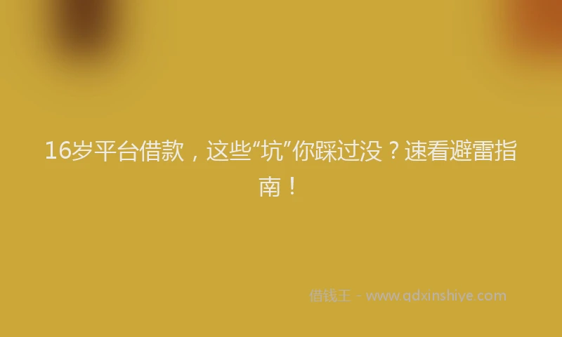 16岁平台借款，这些“坑”你踩过没？速看避雷指南！