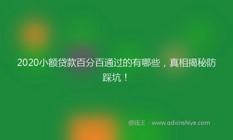 2020小额贷款百分百通过的有哪些，真相揭秘防踩坑！