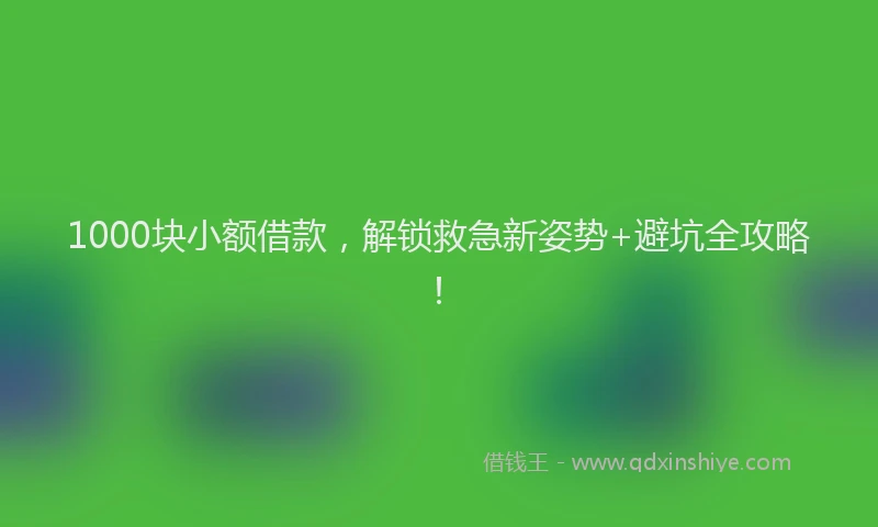 1000块小额借款，解锁救急新姿势+避坑全攻略！