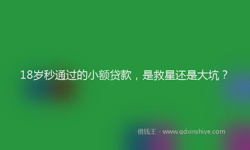 18岁秒通过的小额贷款，是救星还是大坑？