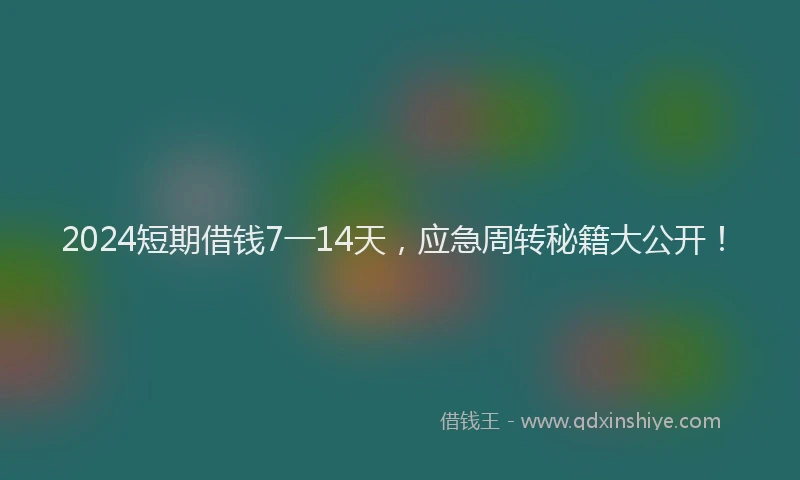2024短期借钱7一14天，应急周转秘籍大公开！