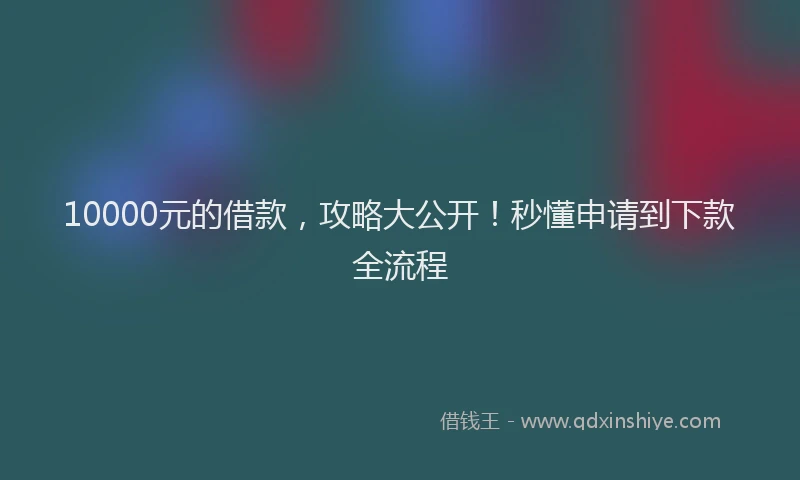 10000元的借款，攻略大公开！秒懂申请到下款全流程