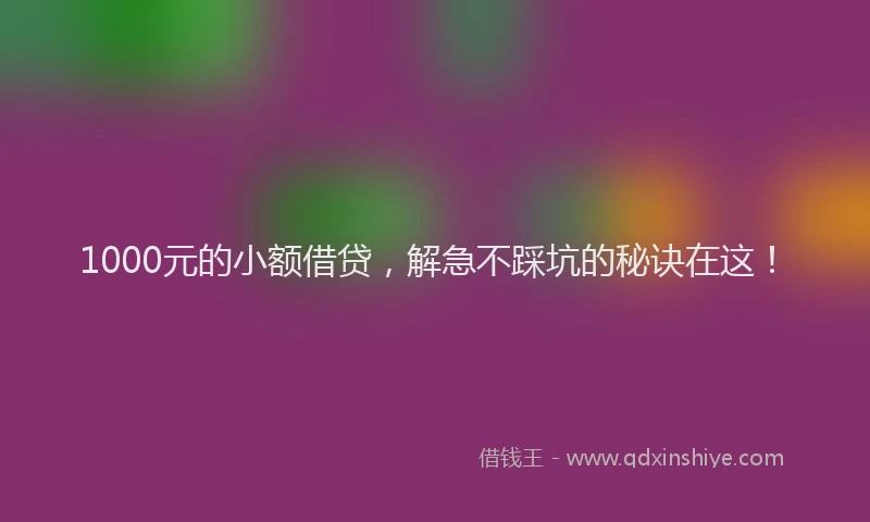 1000元的小额借贷，解急不踩坑的秘诀在这！