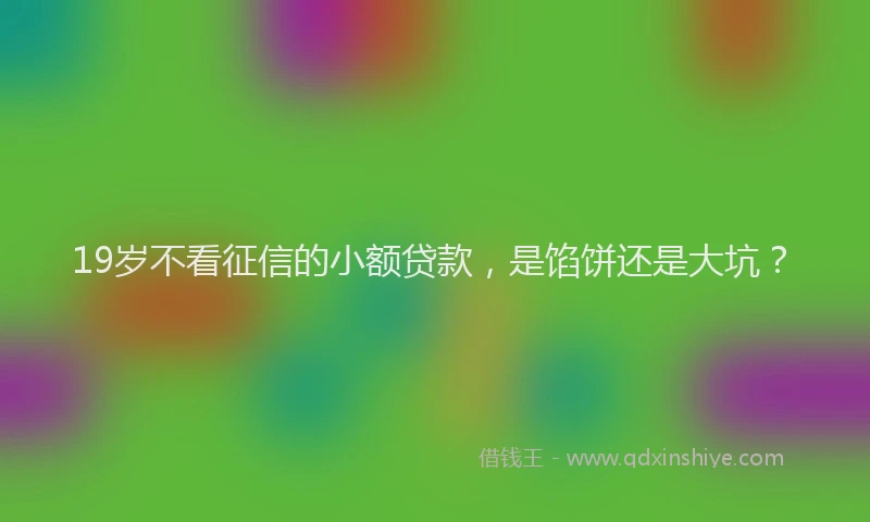 19岁不看征信的小额贷款，是馅饼还是大坑？