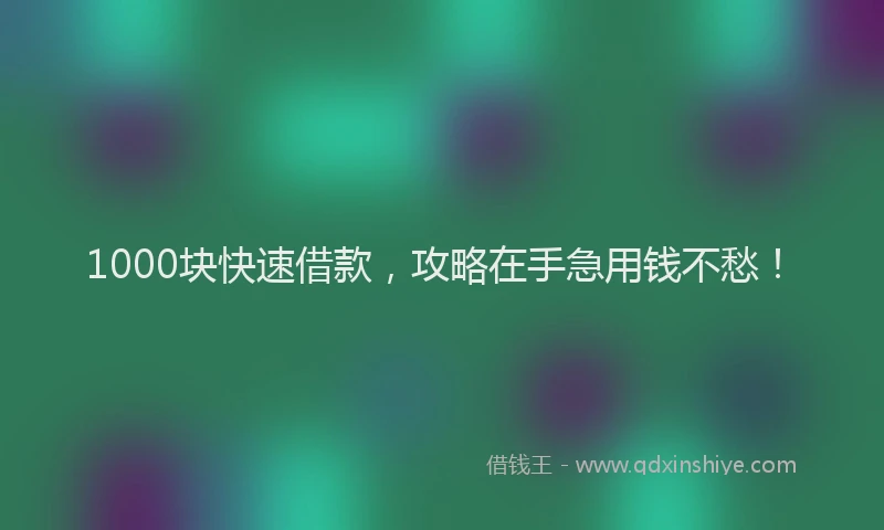 1000块快速借款，攻略在手急用钱不愁！