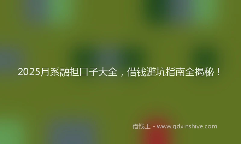 2025月系融担口子大全，借钱避坑指南全揭秘！