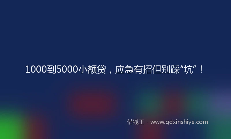 1000到5000小额贷，应急有招但别踩“坑”！