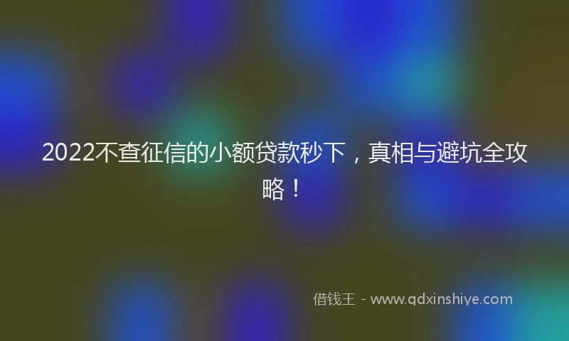 2022不查征信的小额贷款秒下，真相与避坑全攻略！